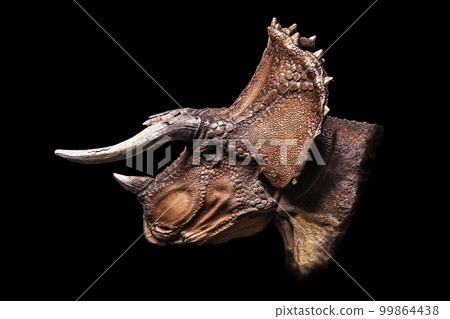 The head of Triceratops in the dark , dinosaur on black background The head of Triceratops in the dark , dinosaur on black background 99864438