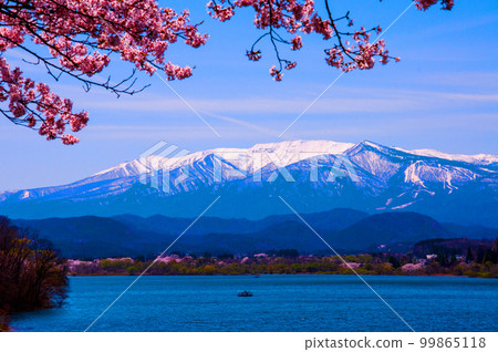 Michinoku Miyagi Zao 三十六景 Kamafusa Dam Sakura Michinoku Miyagi Zao 三十六景 Kamafusa Dam Sakura 99865118