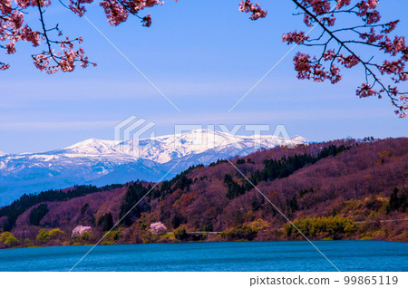 Michinoku Miyagi Zao 三十六景 Kamafusa Dam Sakura Michinoku Miyagi Zao 三十六景 Kamafusa Dam Sakura 99865119