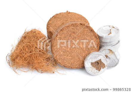 Coconut Coir substrate. Pressed briquette with tabletes and fiber. Isolated on White Background 99865328