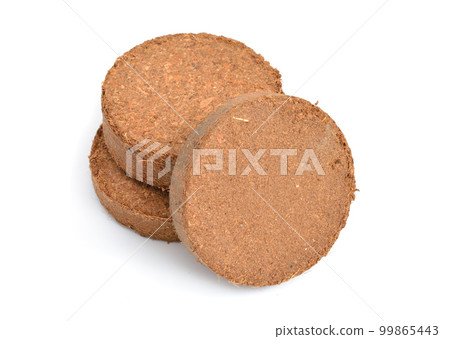 Coconut Coir substrate. Pressed briquette Isolated on White Background 99865443