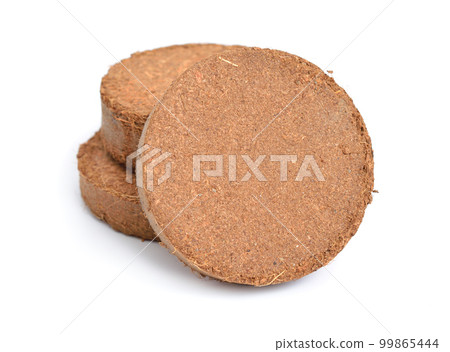 Coconut Coir substrate. Pressed briquette Isolated on White Background 99865444