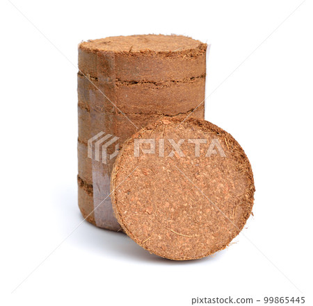 Coconut Coir substrate. Pressed briquette Isolated on White Background 99865445