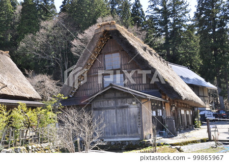春天的世界文化遺產白川鄉合掌造村落 99865967
