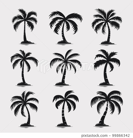 Vector Palm Trees, Palm Tree Icon Set Isolated. Palm Silhouettes. Design Template for Tropical, Vacation, Beach, Summer Concept. Vector Illustration. Front View Vector Palm Trees, Palm Tree Icon Set Isolated. Palm Silhouettes. Design Template for Tropical, Vacation, Beach, Summer Concept. Vector Illustration. Front View 99866342