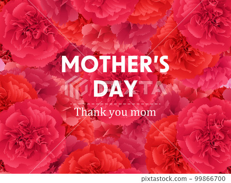 母親節康乃馨背景素材 99866700