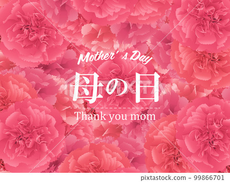 Mother's Day carnation background material Mother's Day carnation background material 99866701