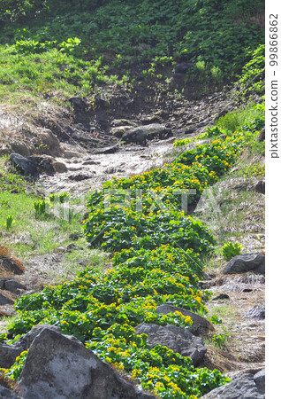北海道大雪山脈 中岳溫泉徒步 江園龍金香 北海道大雪山脈 中岳溫泉徒步 江園龍金香 99866862