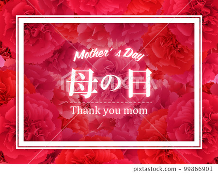 母親節康乃馨背景素材 母親節康乃馨背景素材 99866901