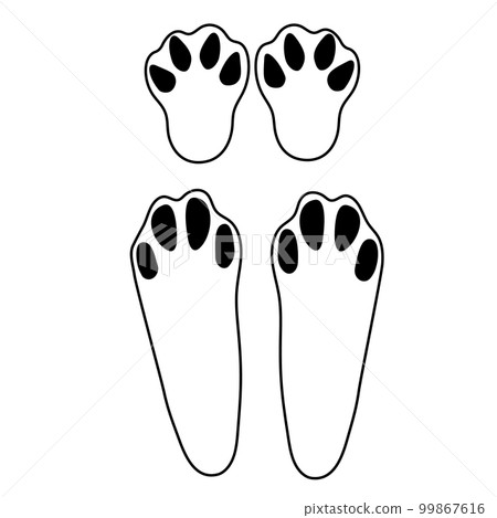 Cute rabbit footprints. Isolated illustration on a white background. Vector illustration. 99867616