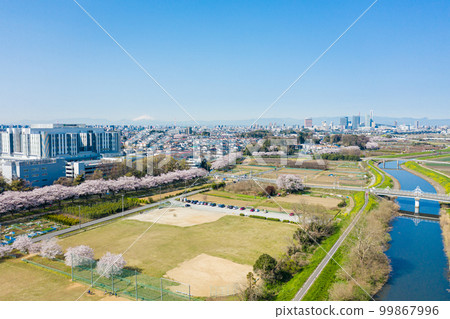 鳥瞰“埼玉縣”春天的見沼稻田日本最好的櫻花走廊 99867996