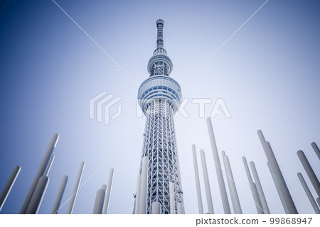 從東京小梅兒童公園仰望東京晴空塔 從東京小梅兒童公園仰望東京晴空塔 99868947