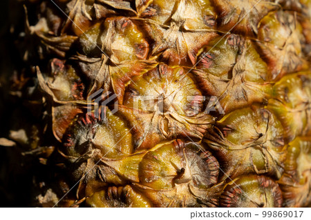 Close up texture of fresh ripe pineapple background Close up texture of fresh ripe pineapple background 99869017