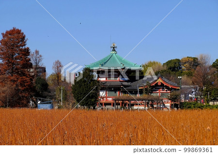 Ueno Shinobazu Pond Bentendo 99869361