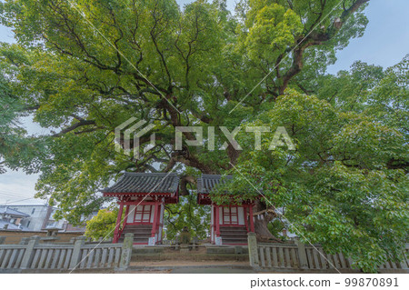 善通寺市 善通寺市 99870891