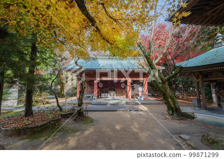 貓眼寺 99871299