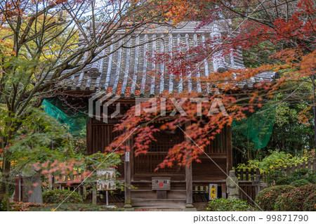 Hakuto-ji Temple 99871790