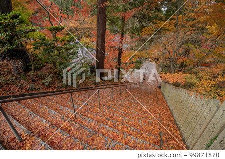Hakuto-ji Temple 99871870