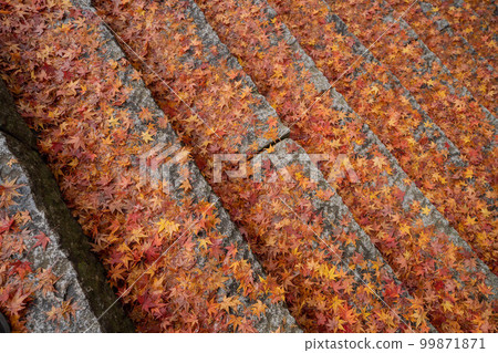 Hakuto-ji Temple 99871871