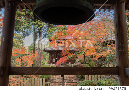 白天寺 白天寺 99871876