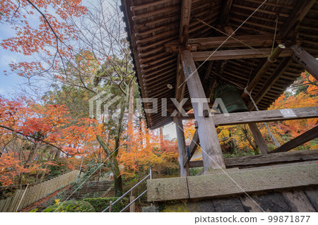 白天寺 白天寺 99871877
