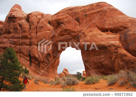 United States Early Spring Colorado Plateau Arches National Park Devil's Garden Pine-Arch 99871902