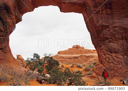 United States Early Spring Colorado Plateau Arches National Park Devil's Garden Pine-Arch 99871903