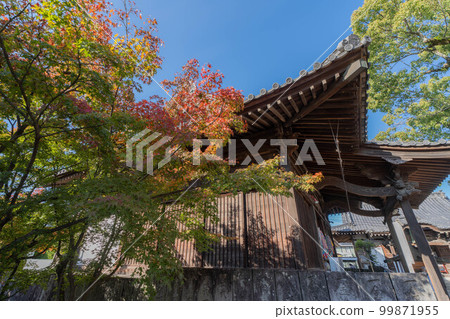 一宮寺 一宮寺 99871955