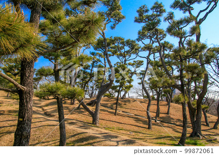Ohama Park 99872061