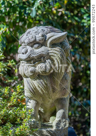 Yashima Shrine 99872243