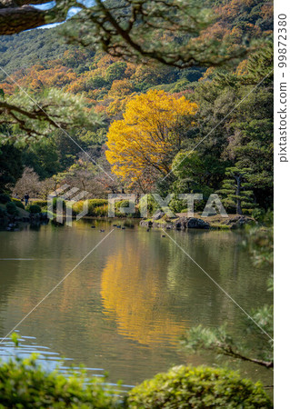 Kuribayashi Park 99872380