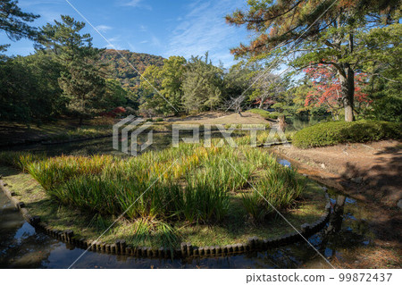 Kuribayashi Park 99872437