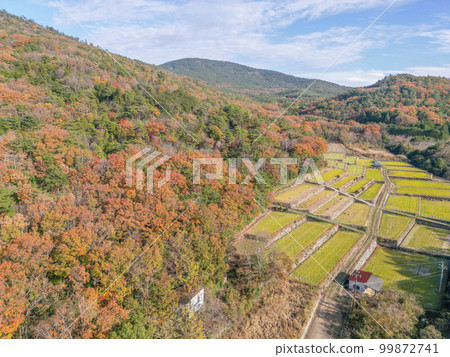 Kaneda gorge 99872741