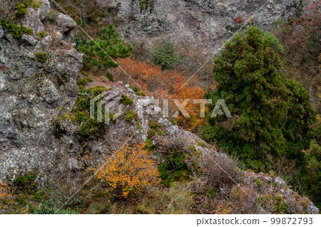 金田峽谷 99872793