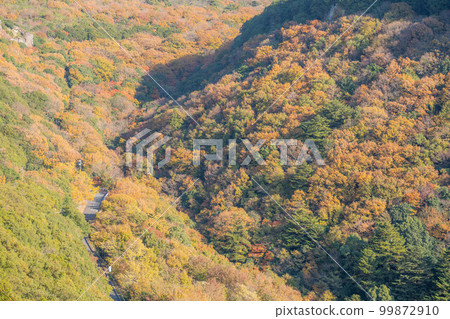 金田峽谷 金田峽谷 99872910