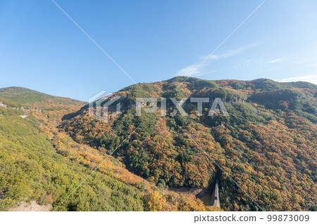 金田峽谷 金田峽谷 99873009