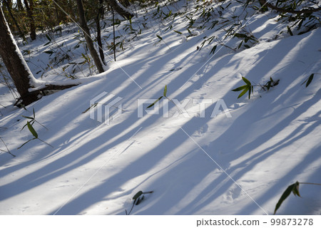 雪山風景 99873278