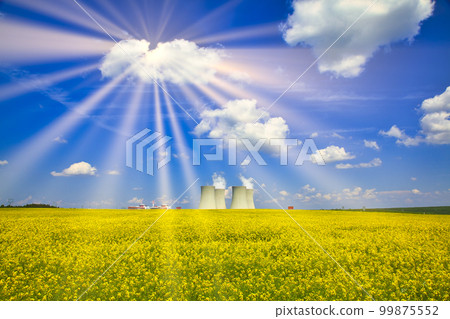Canola field and nuclear power plant in Bohemia Canola field and nuclear power plant in Bohemia 99875552
