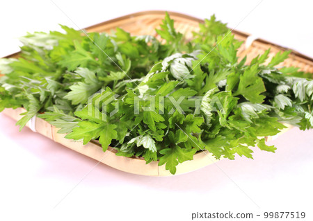 Mugwort leaves on colander 99877519
