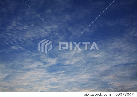 Morning sky with cirrus clouds spreading all over the sky・Spring・Sky only・220502am 99878847