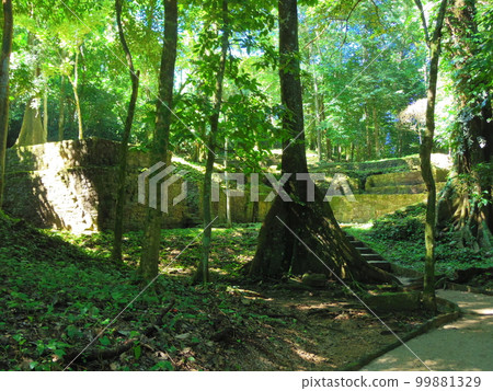 世界遺產墨西哥美國帕倫克公園3 99881329