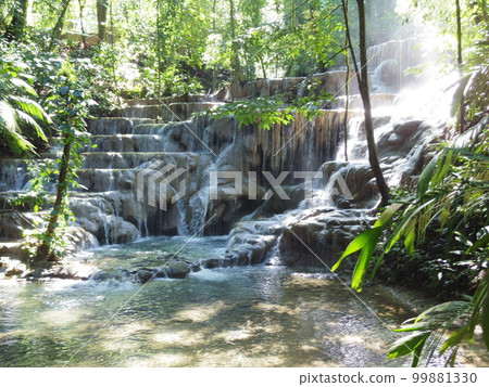 世界遺產 墨西哥 美國 帕倫克公園 4 世界遺產 墨西哥 美國 帕倫克公園 4 99881330