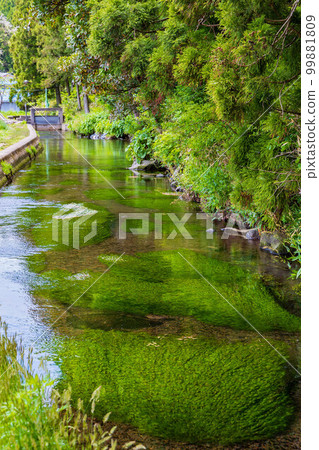 Yamagata Yusa's early summer Underground water of Mt. Chokai Clear Ushiwatari River Yamagata Yusa's early summer Underground water of Mt. Chokai Clear Ushiwatari River 99881809