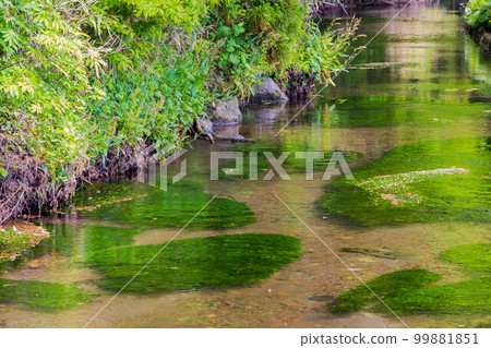 Yamagata Yusa's early summer Underground water of Mt. Chokai Clear Ushiwatari River 99881851