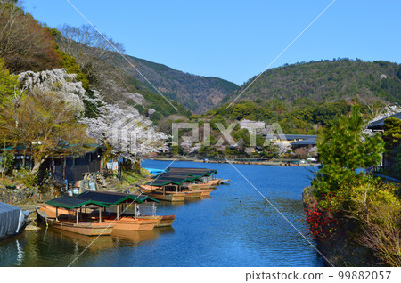 Arashiyama, Kyoto City in spring Yakatabune boarding point for visiting Arashikyo 99882057