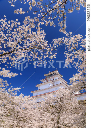 福島縣_敦賀城和櫻花盛開的絕景 福島縣_敦賀城和櫻花盛開的絕景 99882866