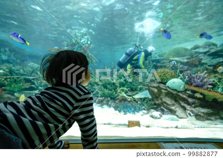 名古屋港水族館 看著水族館的孩子 99882877