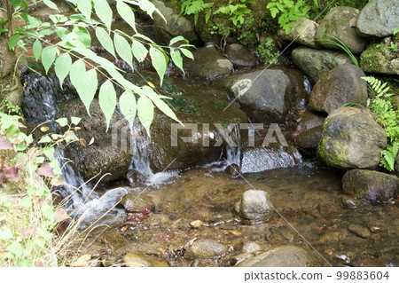 Small waterfall in Kenrokuen 99883604
