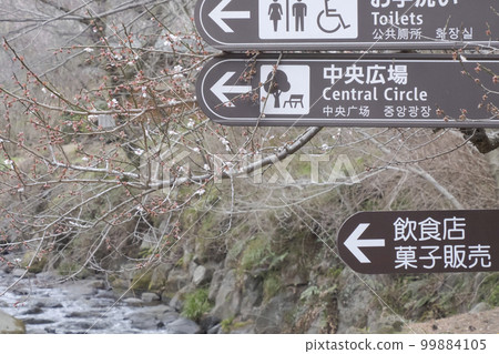 靜岡縣熱海市熱海梅林的春天（多雲） 99884105