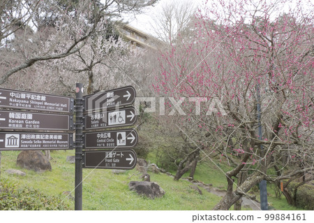 Spring (cloudy) in Atami Bairin, Atami City, Shizuoka Prefecture Spring (cloudy) in Atami Bairin, Atami City, Shizuoka Prefecture 99884161